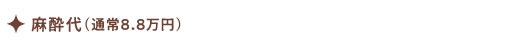 麻酔代（通常8.8万円）