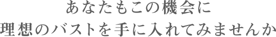 あなたもこの機会に理想のバストを手に入れてみませんか