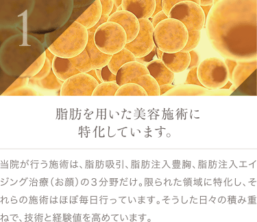 脂肪を用いた美容施術に特化しています。 | 当院が行う施術は、脂肪吸引、脂肪注入豊胸、脂肪注入エイジング治療（お顔）の３分野だけ。限られた領域に特化し、それらの施術はほぼ毎日行っています。そうした日々の積み重ねで、技術と経験値を高めています。