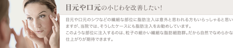 脂肪注入エイジング治療（お顔の若返り） | 目元や口元の小じわを改善したい！ | 目元や口元のシワなどの繊細な部位に脂肪注入は意外と思われる方もいらっしゃると思いますが、当院では、そうしたケースにも脂肪注入をお勧めしています。このような部位に注入するのは、粒子の細かい繊細な脂肪細胞群。だから自然でなめらかな仕上がりが期待できます。