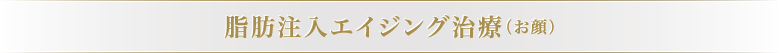 脂肪注入エイジング治療（お顔）